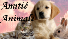 Forum sur les animaux :  amitié animale Logo10